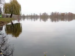 Ententeich Planena-2