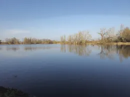 Ententeich Planena-1