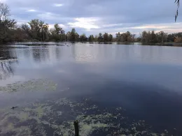 Ententeich Planena-3