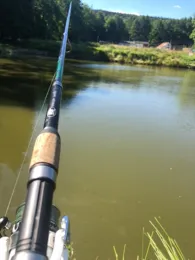 Forellen- und Lachszucht Ermisch-2