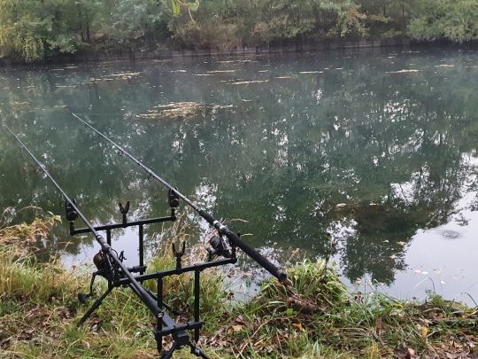 Canal du Rhône au Rhin (Friesenheim)-1