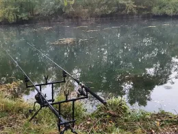 Canal du Rhône au Rhin (Friesenheim)-1