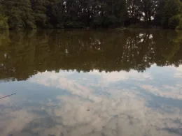 Teich in Rätzlingen-2