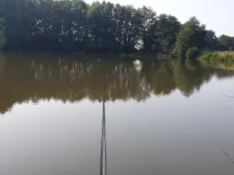 Teich in Rätzlingen-1