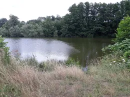 Teich in Rätzlingen-4