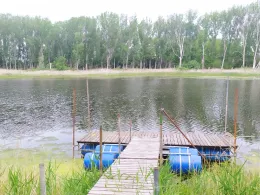 Pappelteich (Grube Alfred)-1