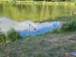 Weiswieserbach (Schwarzerden)