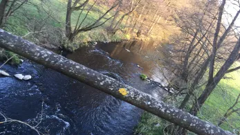 Selbitz (Marxgrün)-1