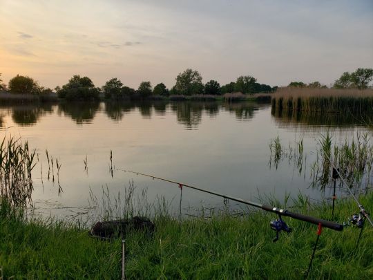Seibtscher Teich-3