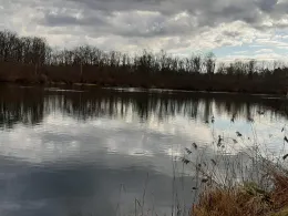 Schurrsee (Baggersee Unterfahlheim)-2