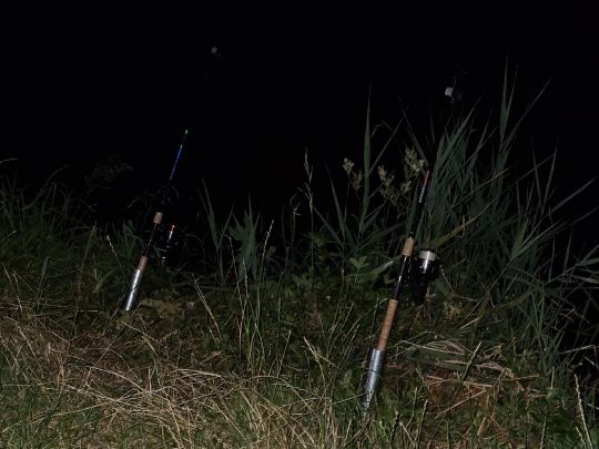 Schurrsee (Baggersee Unterfahlheim)-3
