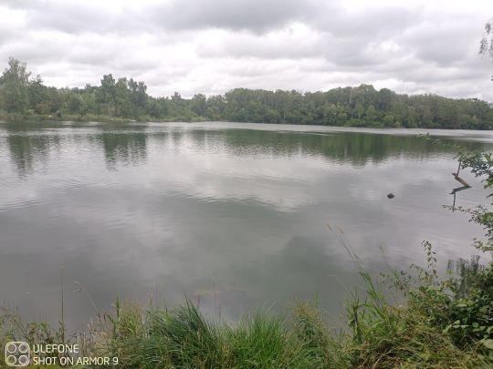 Schurrsee (Baggersee Unterfahlheim)-1