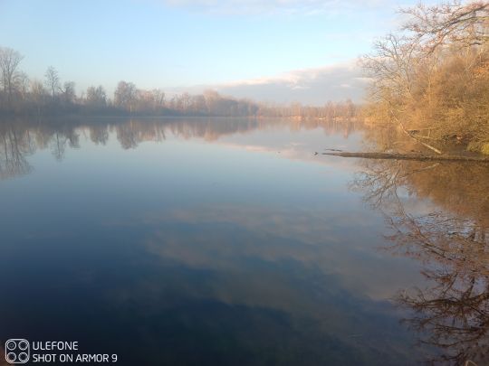 Schurrsee (Baggersee Unterfahlheim)-4