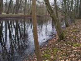 Burggraben Kniphausen