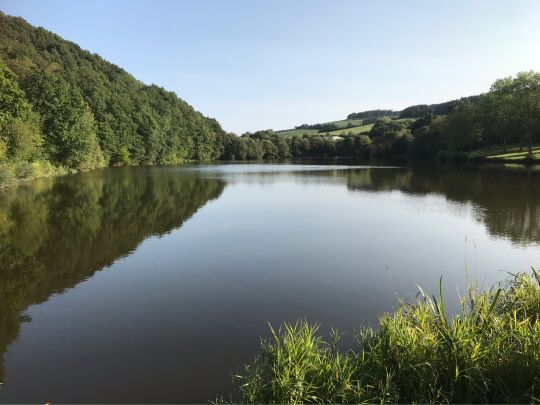 Wirfttalstausee (Stadtkyll)-3