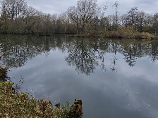 Lehmkuhlen (Spekendorf)-0