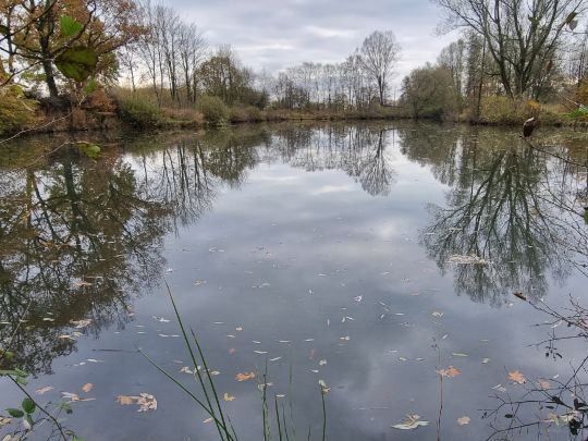 Lehmkuhlen (Spekendorf)-3