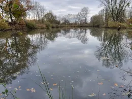 Lehmkuhlen (Spekendorf)-3