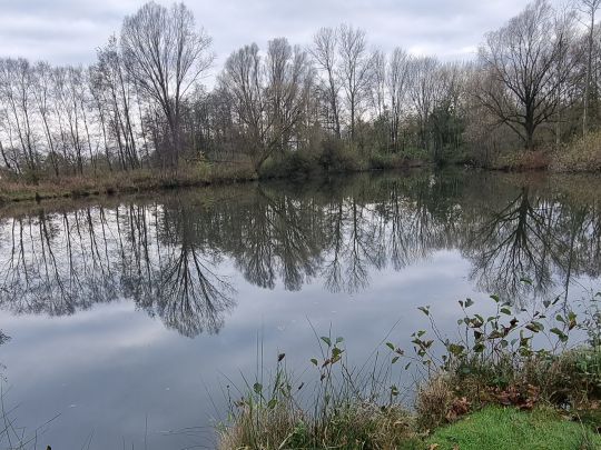 Lehmkuhlen (Spekendorf)-2