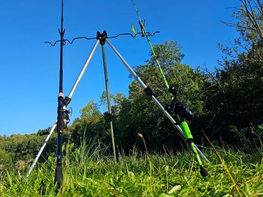 Hechteweiher (Herschbach)-3