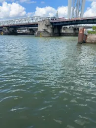 Oude Maas (Dordrecht)-1