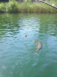 Schalkenmehrener Maar-4