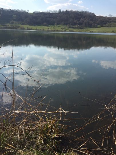 Schalkenmehrener Maar | ALLE ANGELN