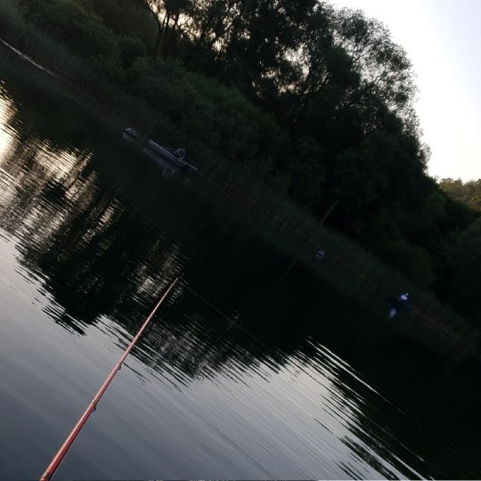 Schalkenmehrener Maar - Fotos vom Schalkenmehrener Maar | Seen.de : Es hat eine tiefe von 21 m bei einem durchmesser von 575 m.