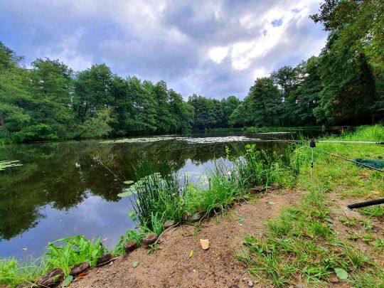 Waldmühlenteich (Coswig)-1