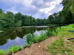 Waldmühlenteich (Coswig)-1