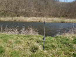 Freiberger Mulde (Westewitz)-2