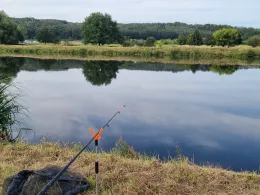 Freiberger Mulde (Westewitz)-1