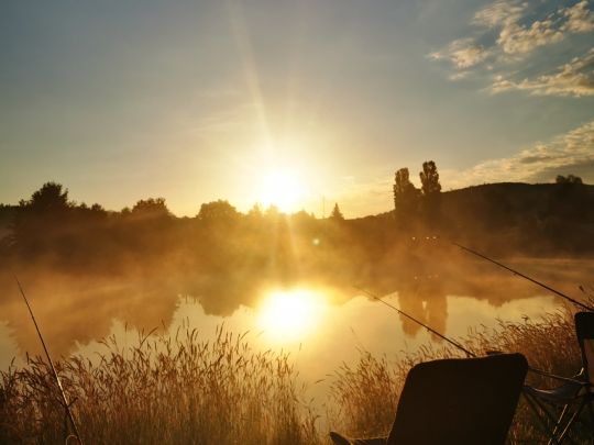 Freiberger Mulde (Westewitz)-3