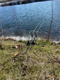 Freiberger Mulde (Westewitz)