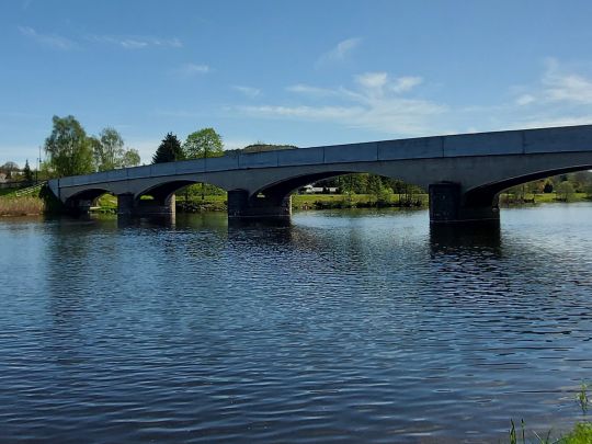 Freiberger Mulde (Westewitz)-4