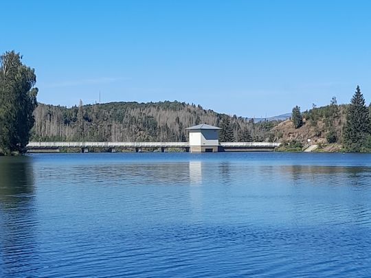 Hasselvorsperre angeln