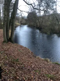 Hunte-Altarm Märchenwald-1