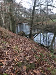 Hunte-Altarm Märchenwald