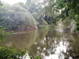 Lahn (Lollar)-4