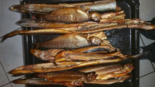 Tauber (Rothenburg o.d.Tauber)-2