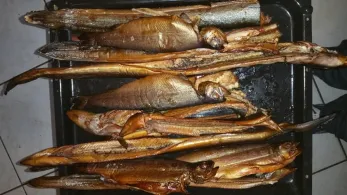 Tauber (Rothenburg o.d.Tauber)-2