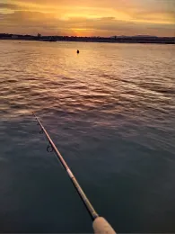 Rio Segura (Guardamar del Segura)