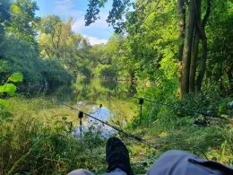 Enz (Unterriexingen)