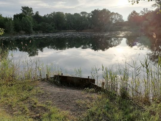 Vogelwaldsee (St. Leon-Rot)-4