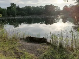 Vogelwaldsee (St. Leon-Rot)-4