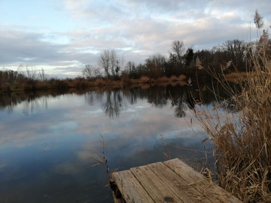 Vogelwaldsee (St. Leon-Rot)-2