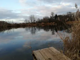 Vogelwaldsee (St. Leon-Rot)-2