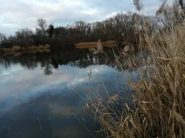 Vogelwaldsee (St. Leon-Rot)-1