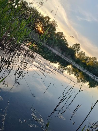 Vogelwaldsee (St. Leon-Rot)