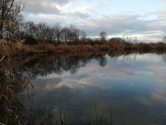 Vogelwaldsee (St. Leon-Rot)-3